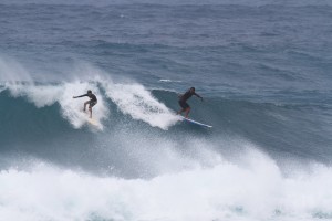 Surf ESA in Oahu, Hawaii